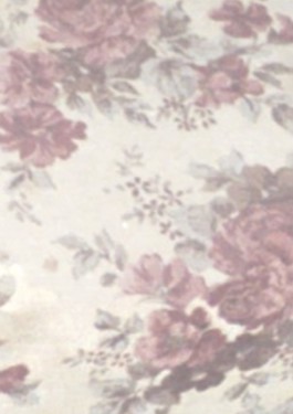 Creadores de imágenes