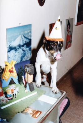 Creadores de imágenes