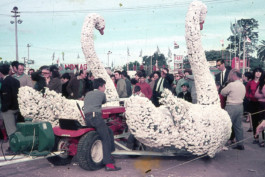 Creadores de imágenes