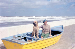 Creadores de imágenes