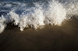 Creadores de imágenes