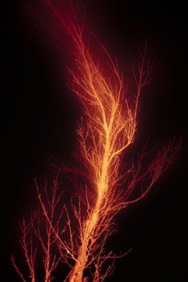 Creadores de imágenes