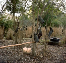 Creadores de imágenes