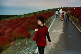 Creadores de imágenes