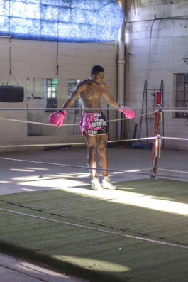 Creadores de imágenes