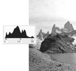 Creadores de imágenes