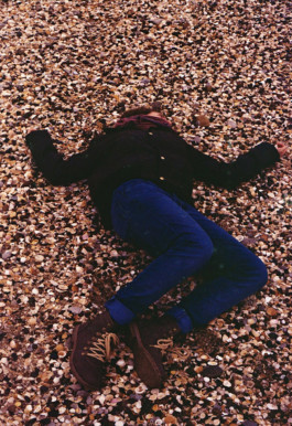 Creadores de imágenes