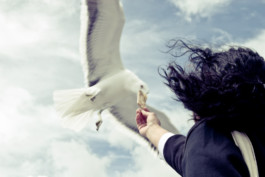 Creadores de imágenes