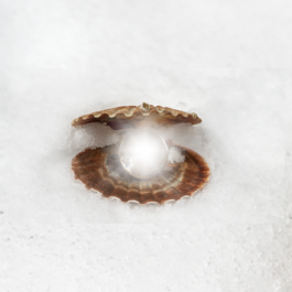 Creadores de imágenes