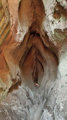 Creadores de imágenes