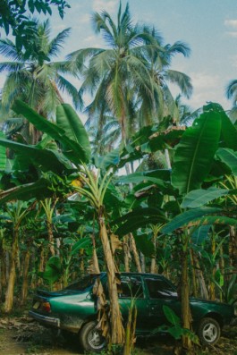 Creadores de imágenes