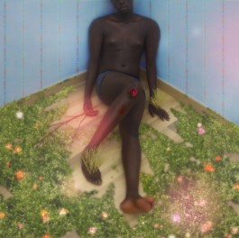 Creadores de imágenes