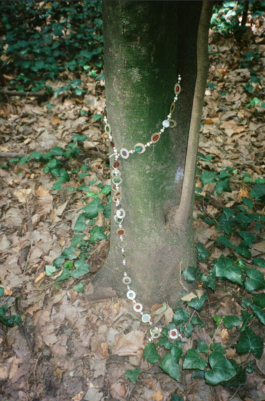 Creadores de imágenes