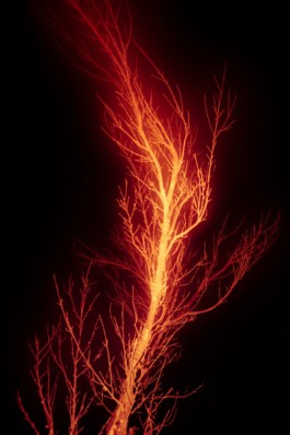 Creadores de imágenes