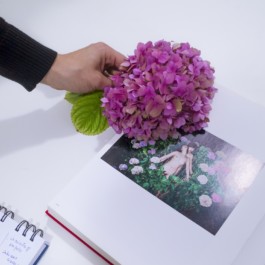 Creadores de imágenes