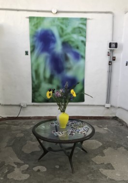 Creadores de imágenes