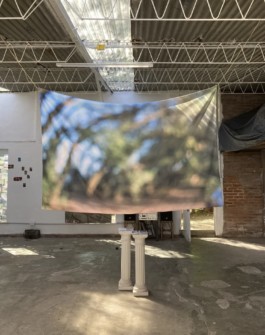 Creadores de imágenes