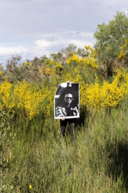 Creadores de imágenes