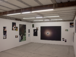 Creadores de imágenes