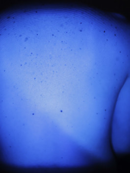 Creadores de imágenes