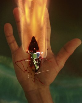 Creadores de imágenes