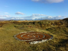 Creadores de imágenes