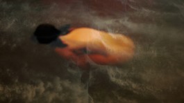 Creadores de imágenes