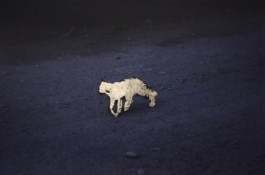 Creadores de imágenes