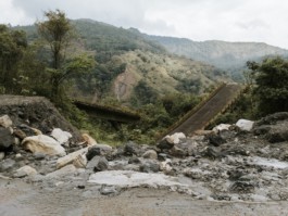 Creadores de imágenes