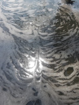 Creadores de imágenes