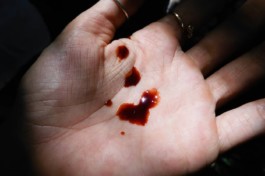 Creadores de imágenes