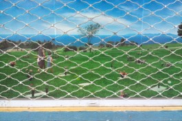 Creadores de imágenes