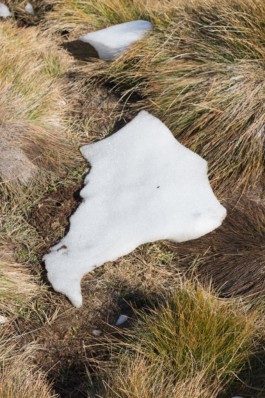 Creadores de imágenes