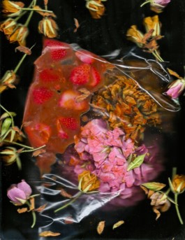 Creadores de imágenes