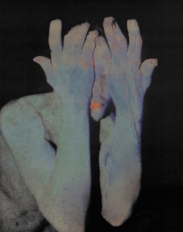 Creadores de imágenes