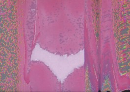 Creadores de imágenes