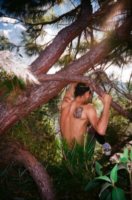 Creadores de imágenes