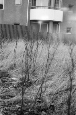 Creadores de imágenes