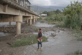 Creadores de imágenes