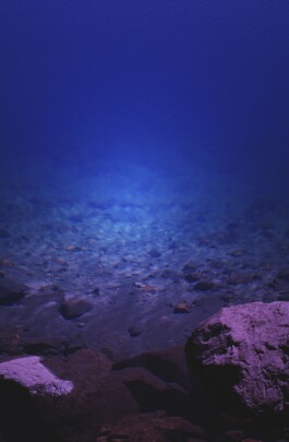 Creadores de imágenes